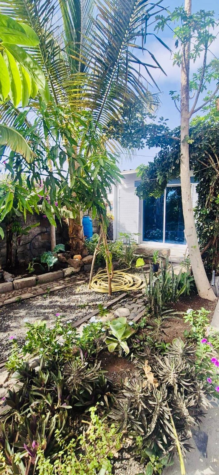 Appartamento Casa Chiquinha Ribeira da Prata Esterno foto