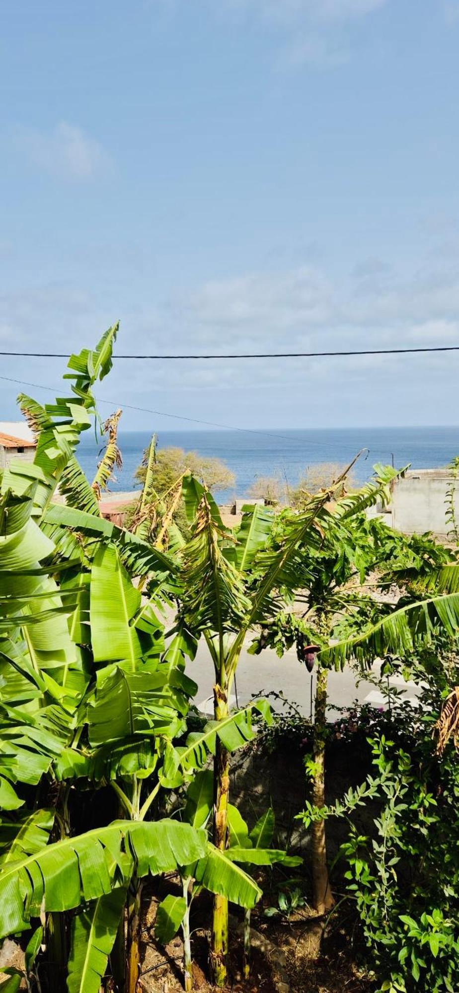 Appartamento Casa Chiquinha Ribeira da Prata Esterno foto