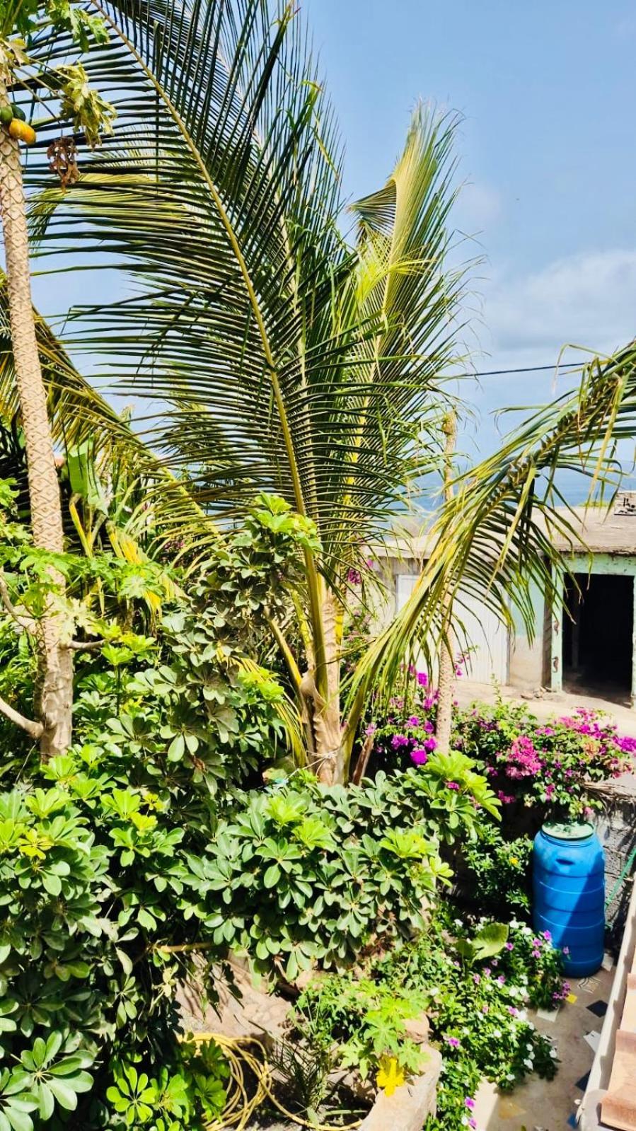 Appartamento Casa Chiquinha Ribeira da Prata Esterno foto